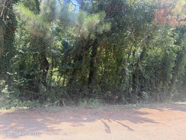 Land for sale in Natchez, Adams County