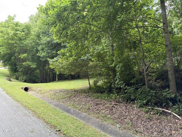 Land for sale in Virginia