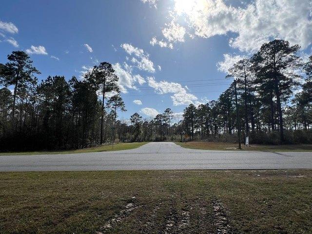 Land for sale in Leesburg, Georgia