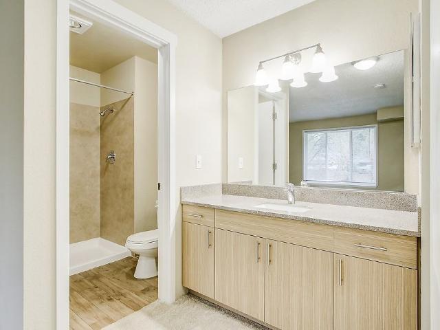 Apartment for rent in Bellevue, Washington