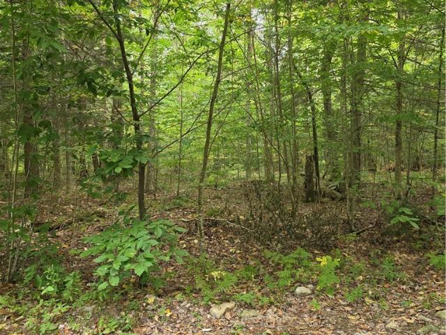 Land for sale in Williamstown, New York