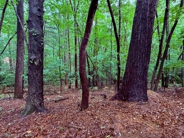 Land for sale in Elkin, North Carolina