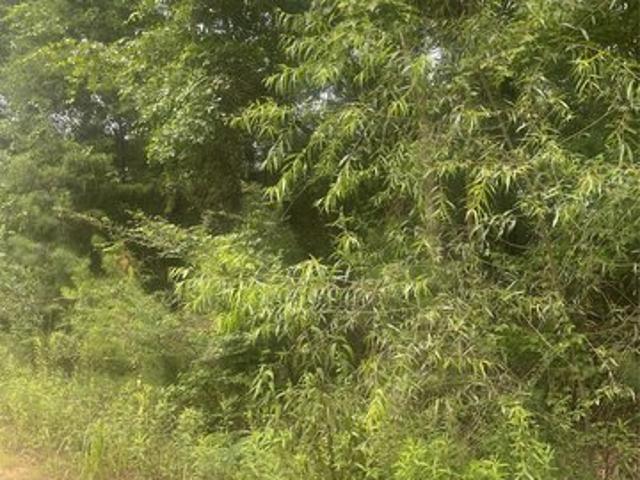 Land for sale in Dale, Alabama