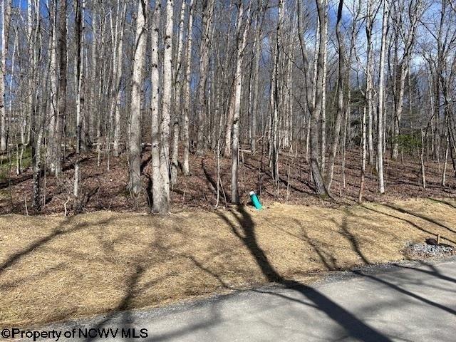 Land for sale in Beverly, West Virginia