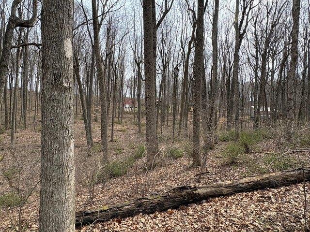 Land for sale in Caldwell, West Virginia