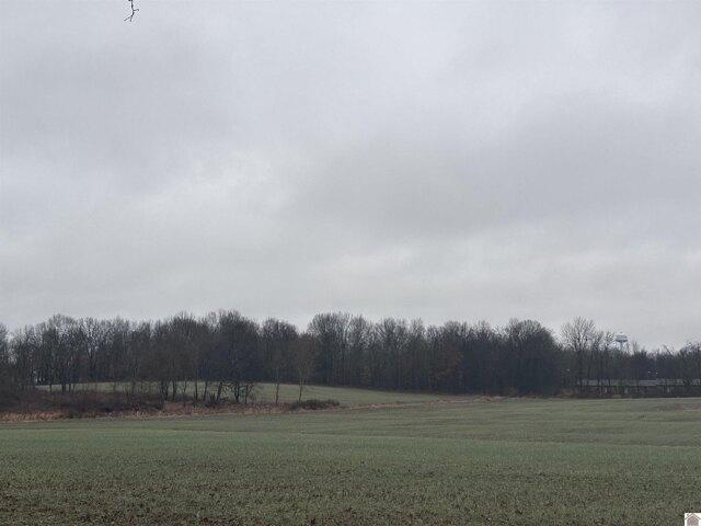 Land for sale in Symsonia