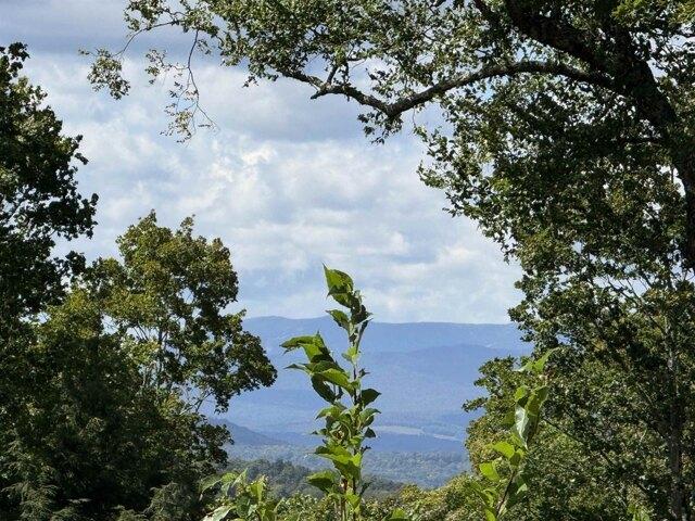 Land for sale in Wolcott, Vermont