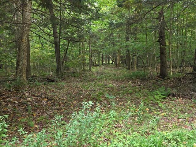 Land for sale in Williamstown, New York