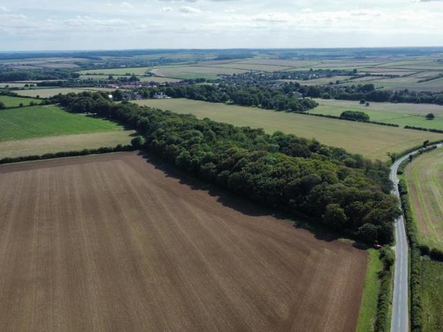 Land for sale in Brookville, Norfolk