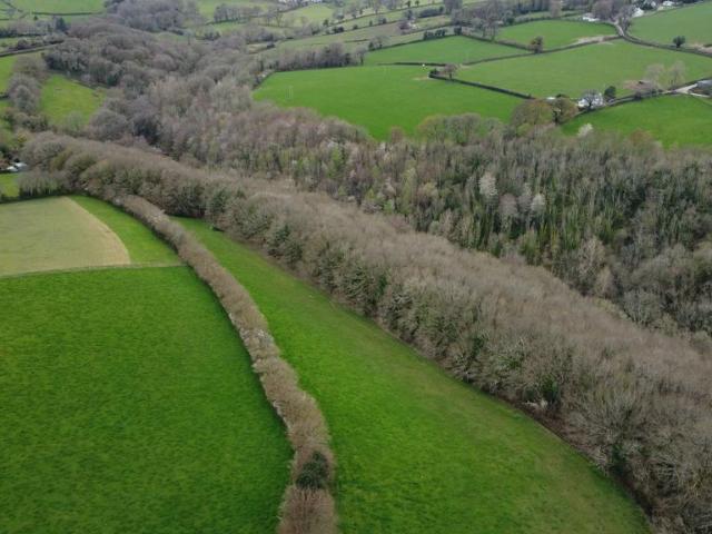 Land for sale in Bridford, Devon