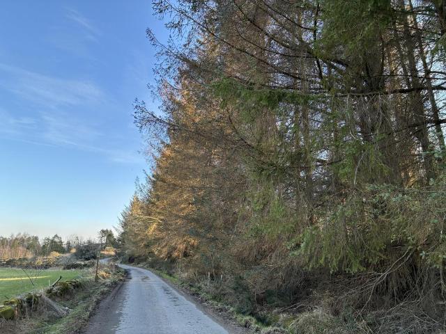 Land for sale in Dess, Aboyne