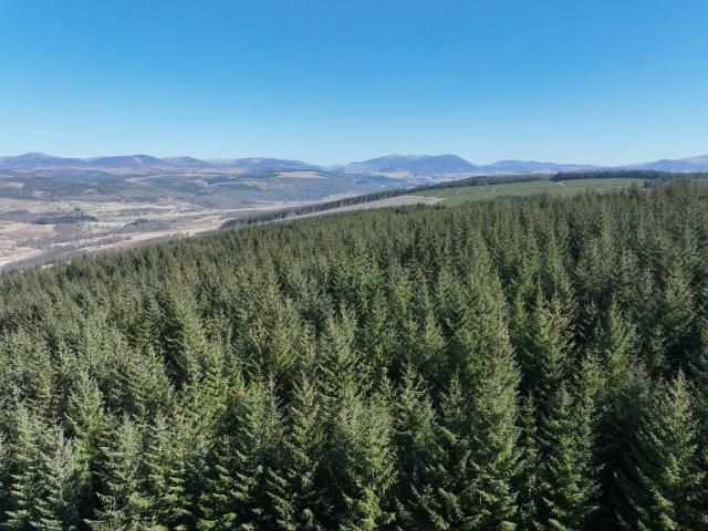 Land for sale in Scotland