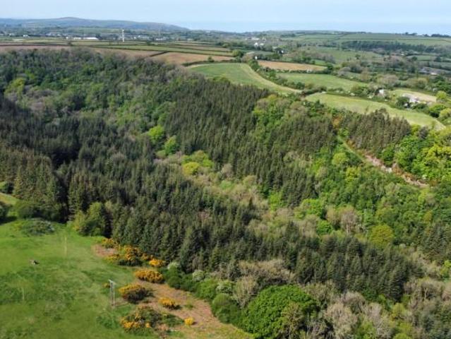 Land for sale in Wales