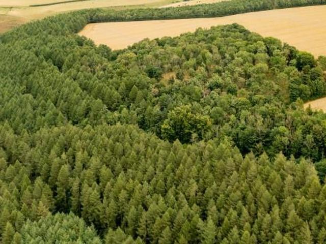 Land for sale in Pickering, North Yorkshire