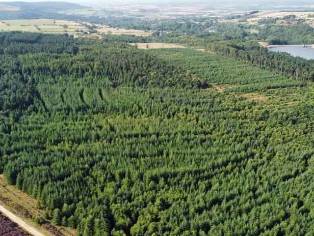 Land for sale in Osmotherley, York and North Yorkshire