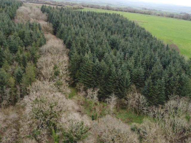 Land for sale in Germansweek, Weir Quay