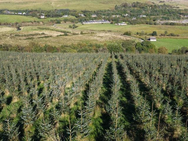 Land for sale in Patna, Scotland