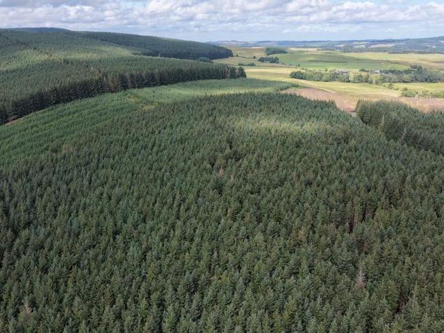 Land for sale in Peebles, Scotland