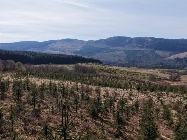Land for sale in Scotland