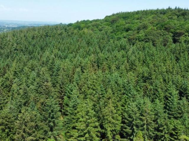 Land for sale in Budlake, Devon
