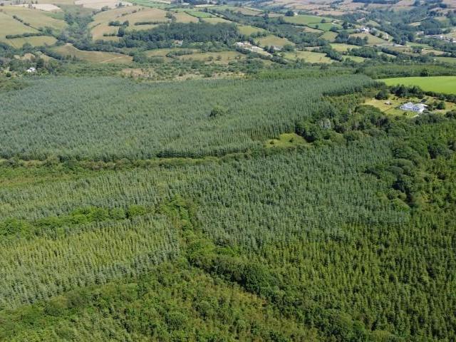 Land for sale in Wales