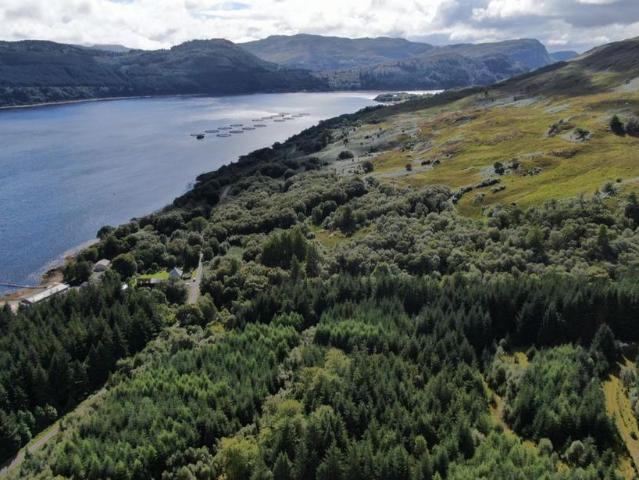Land for sale in Scotland