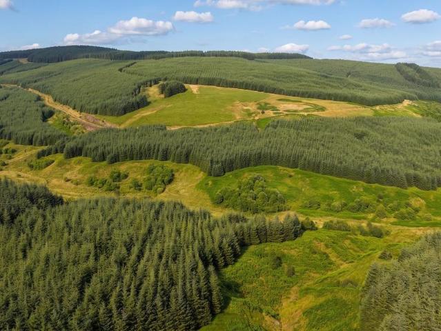 Land for sale in Langholm, Scotland
