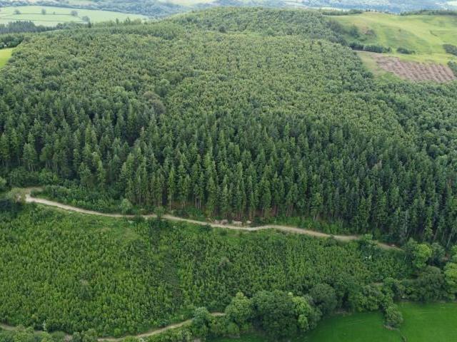 Land for sale in Meifod, Wales