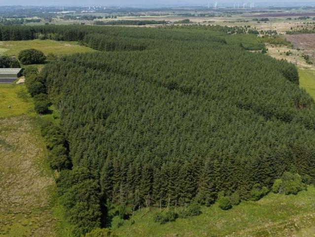 Land for sale in Strathaven, Leaburn