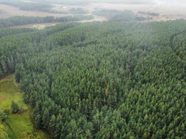 Land for sale in Highland, Alba / Scotland