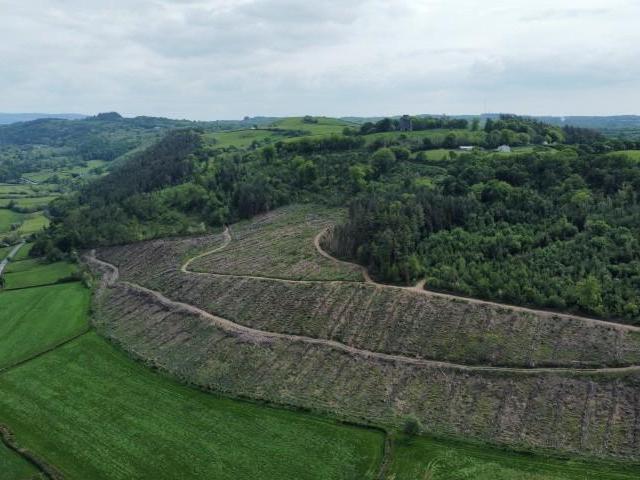 Land for sale in Llanarthney, Dryslwyn
