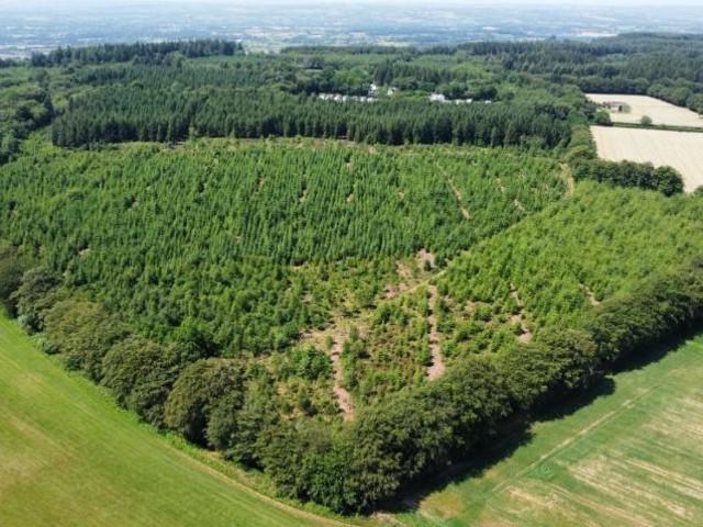 Land for sale in Budlake, Devon