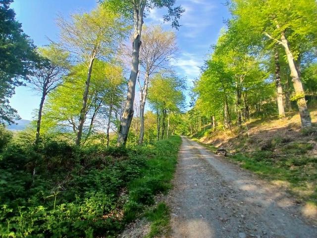 Land for sale in Llangynfelyn, Tre Taliesin