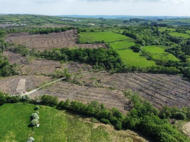 Land for sale in Llannon, Tumble