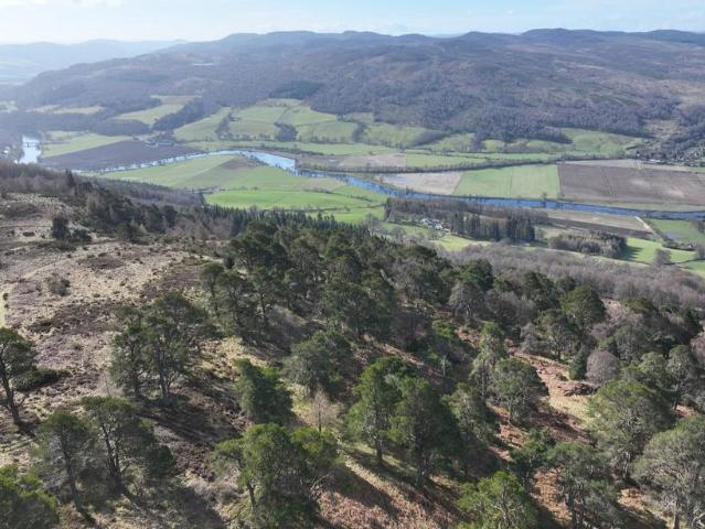 Land for sale in Logierait, Scotland