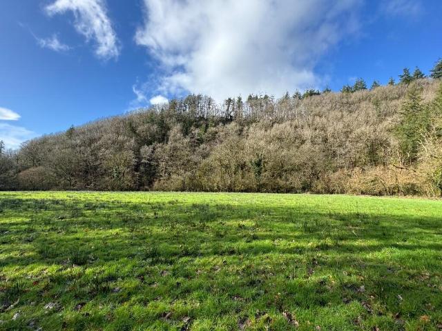 Land for sale in Wales