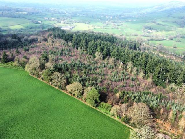 Land for sale in Budlake, Devon