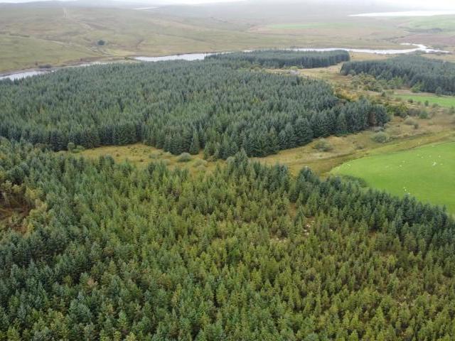 Land for sale in Wales