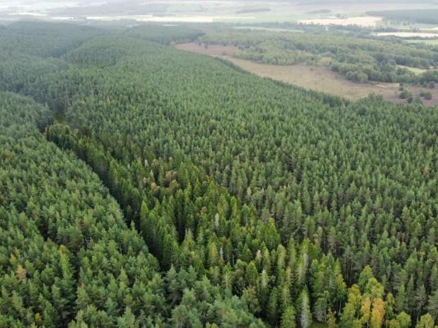 Land for sale in Carrbridge, Scotland