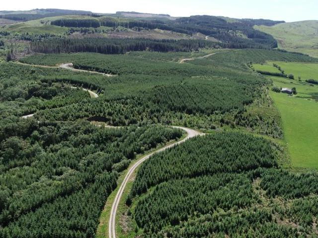 Land for sale in Ystrad Fflur, Wales