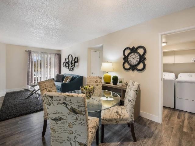 Apartment for rent in Colorado Springs, Colorado