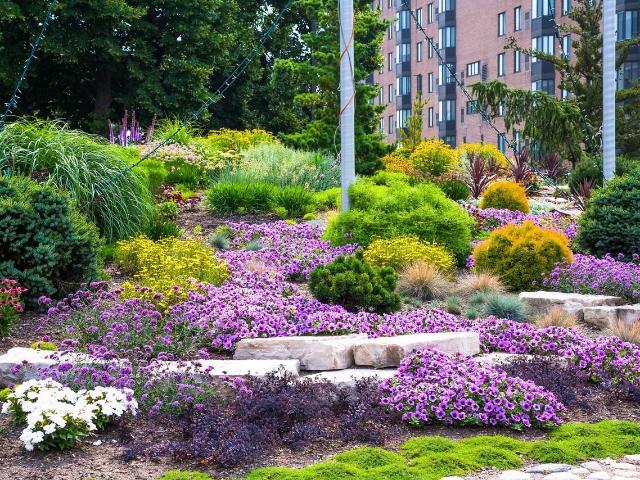 Apartment for rent in Chicago Park, Illinois