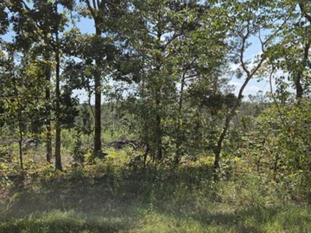 Land for sale in Hohenwald, Middle Tennessee