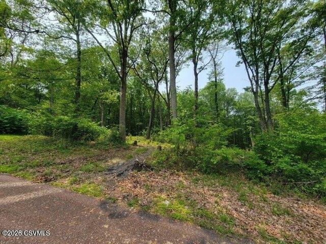 Land for sale in Mount Carmel, Pennsylvania
