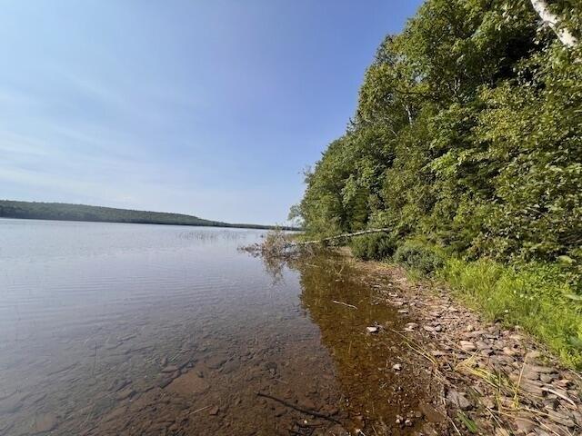 Land for sale in Danforth, Maine