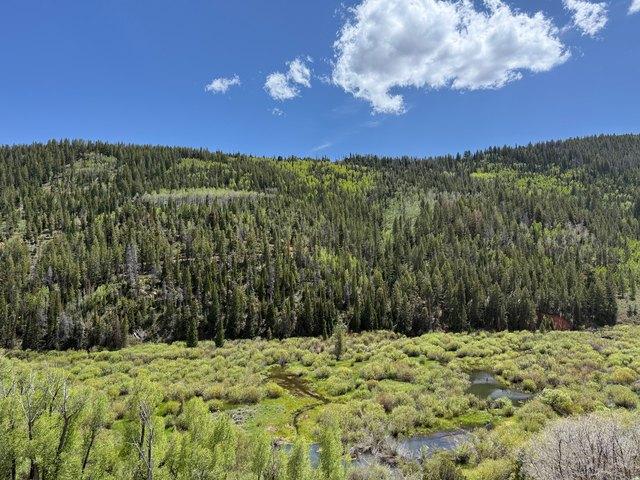 Land for sale in Utah