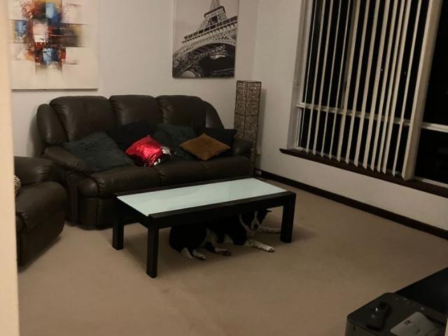 Room for rent in Stirling, Western Australia