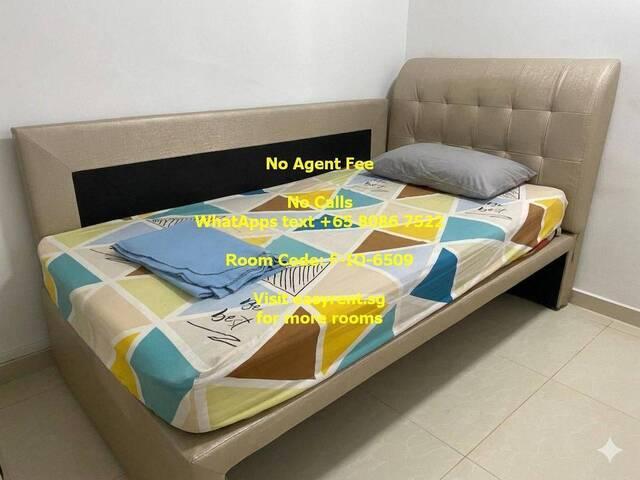 Room for rent in Woodlands South, Singapore
