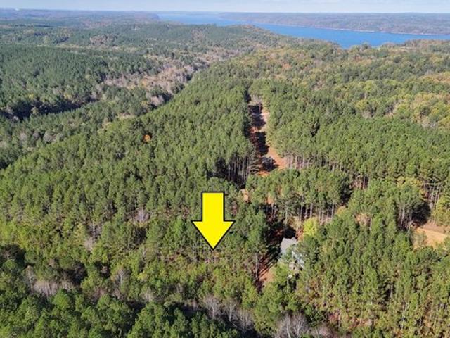 Land for sale in Iuka, Mississippi