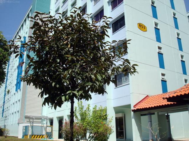 Detached House for rent in 23 North West